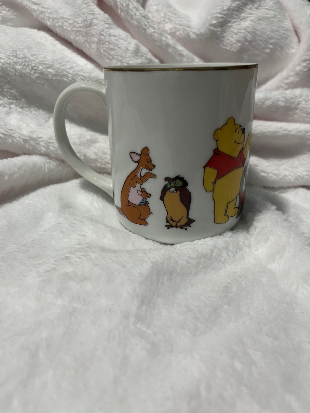 Disney Winnie the Pooh Characters Ceramic Mug with Gold Rim